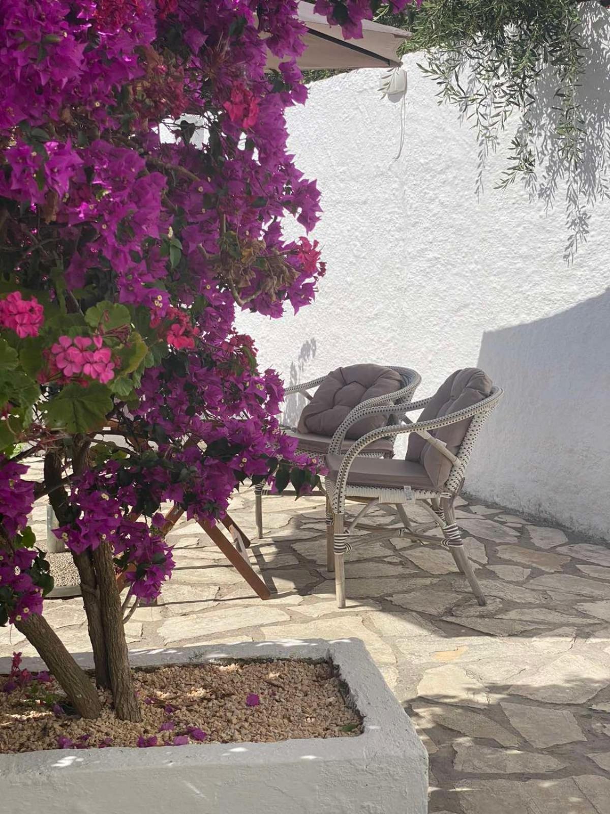 Vicky'S Panoramic View Apartments بيليكاس المظهر الخارجي الصورة